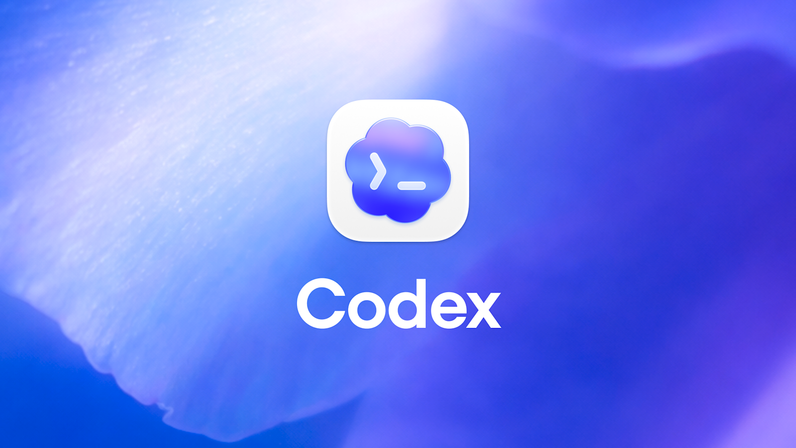 Codex Desktop
